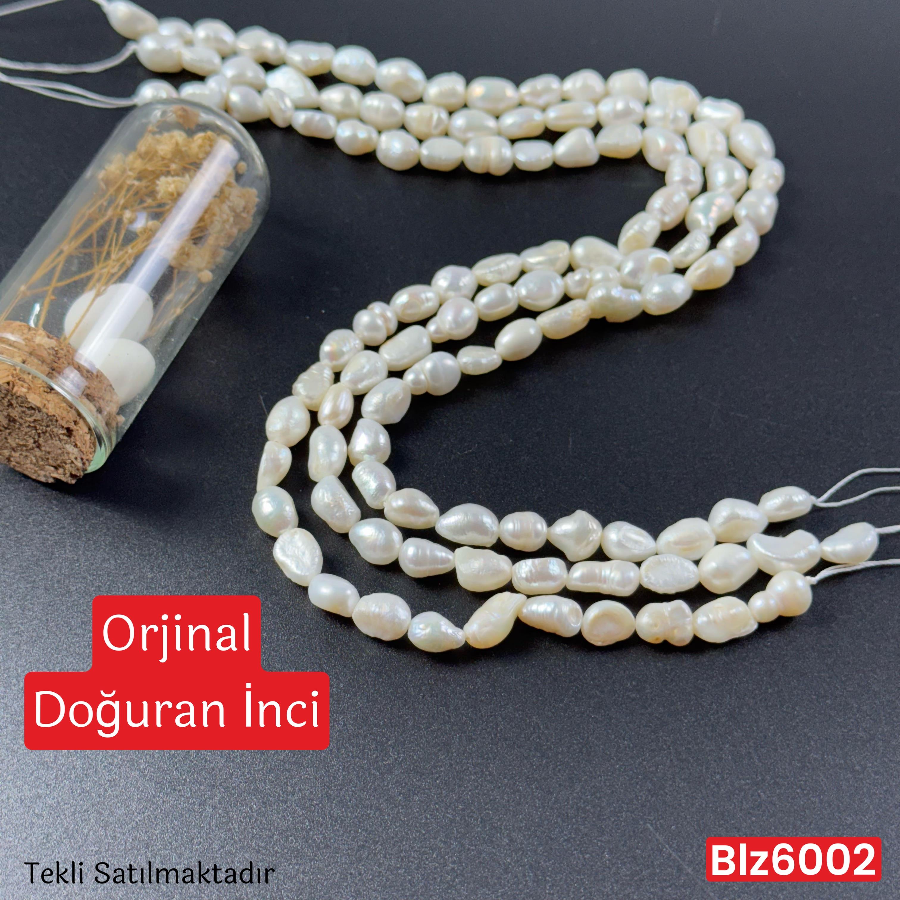 ZC-088 Orjinal Doğuran İnci 