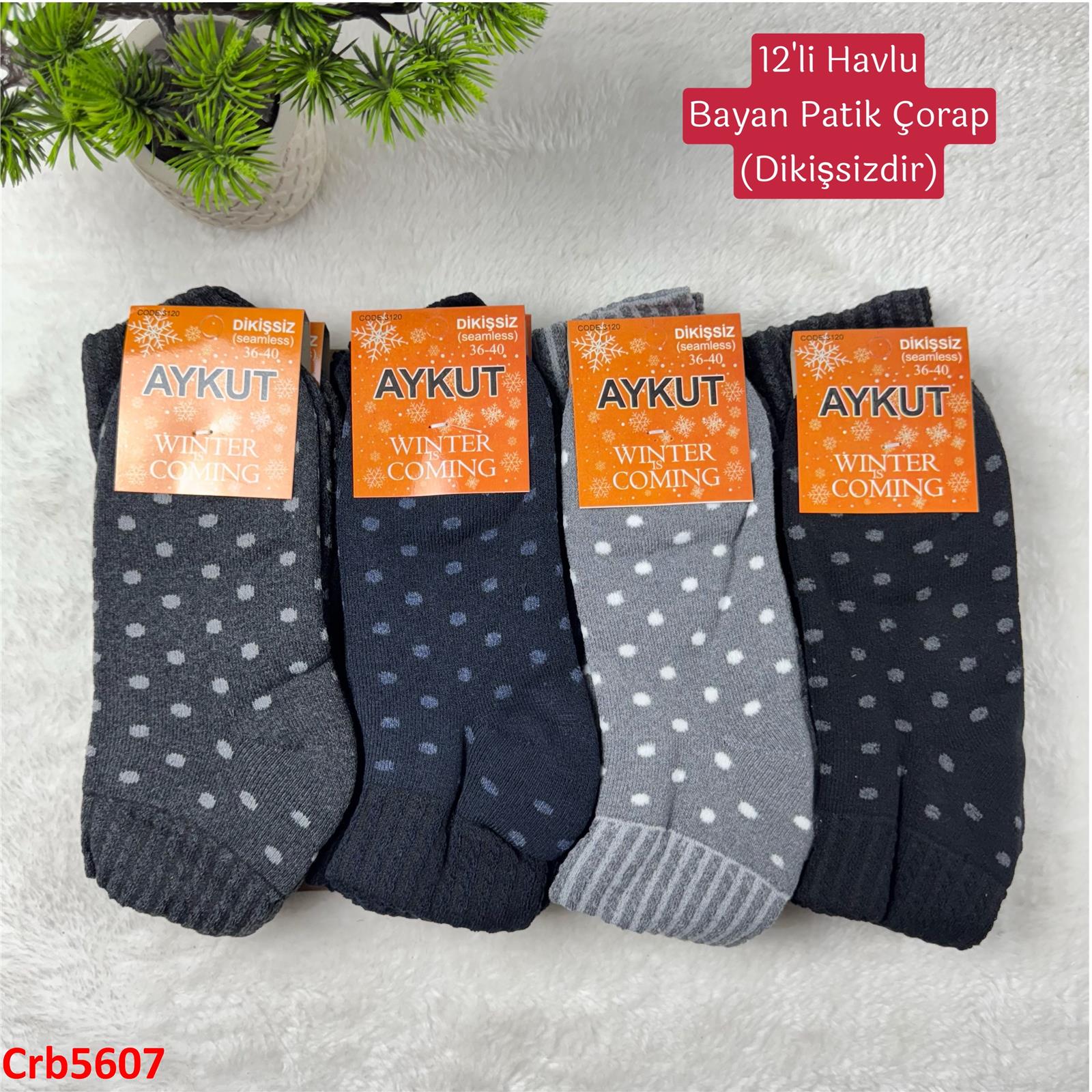 ZV-165 Havlu Bayan Patik Çorap 12 Adet