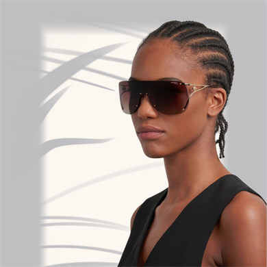 CARRERAKadın Güneş GözlüğüCARRE 3006/S RHL 99-1-110 G