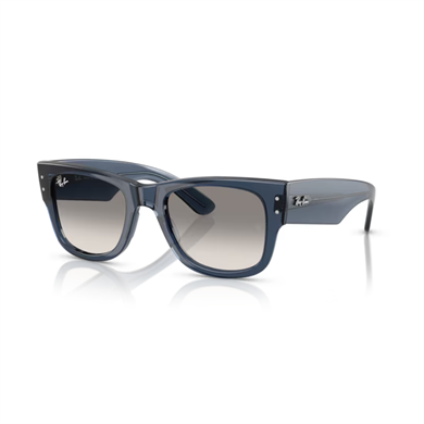 RAY-BANUnisex Güneş GözlüğüRAY-BAN 0832S 684532 55-21-145 G