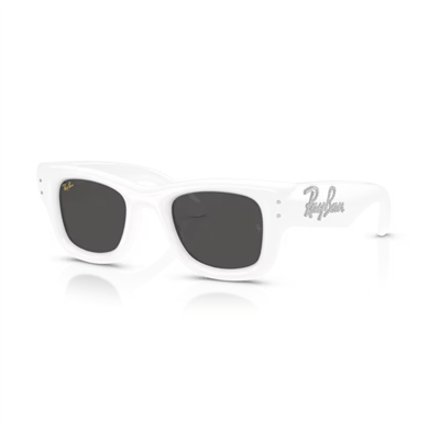 RAY-BANUnisex Güneş GözlüğüRAY-BAN 4940B PUFFER 686387 47-23-145 G