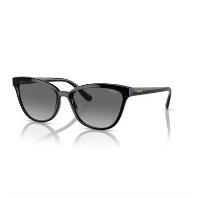 VOGUEKadın Güneş GözlüğüVOGUE 5496SI W44/11 54 G