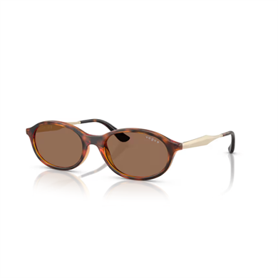 VOGUEKadın Güneş GözlüğüVOGUE 5625S W65673 52 G