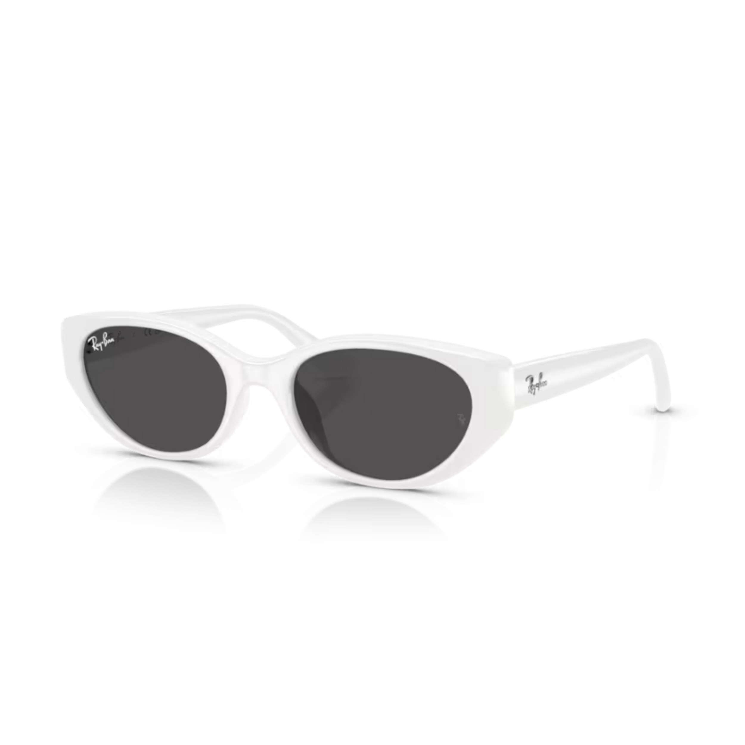 RAY-BANKadın Güneş GözlüğüRAY-BAN 4457D 677287 55-19-145 G