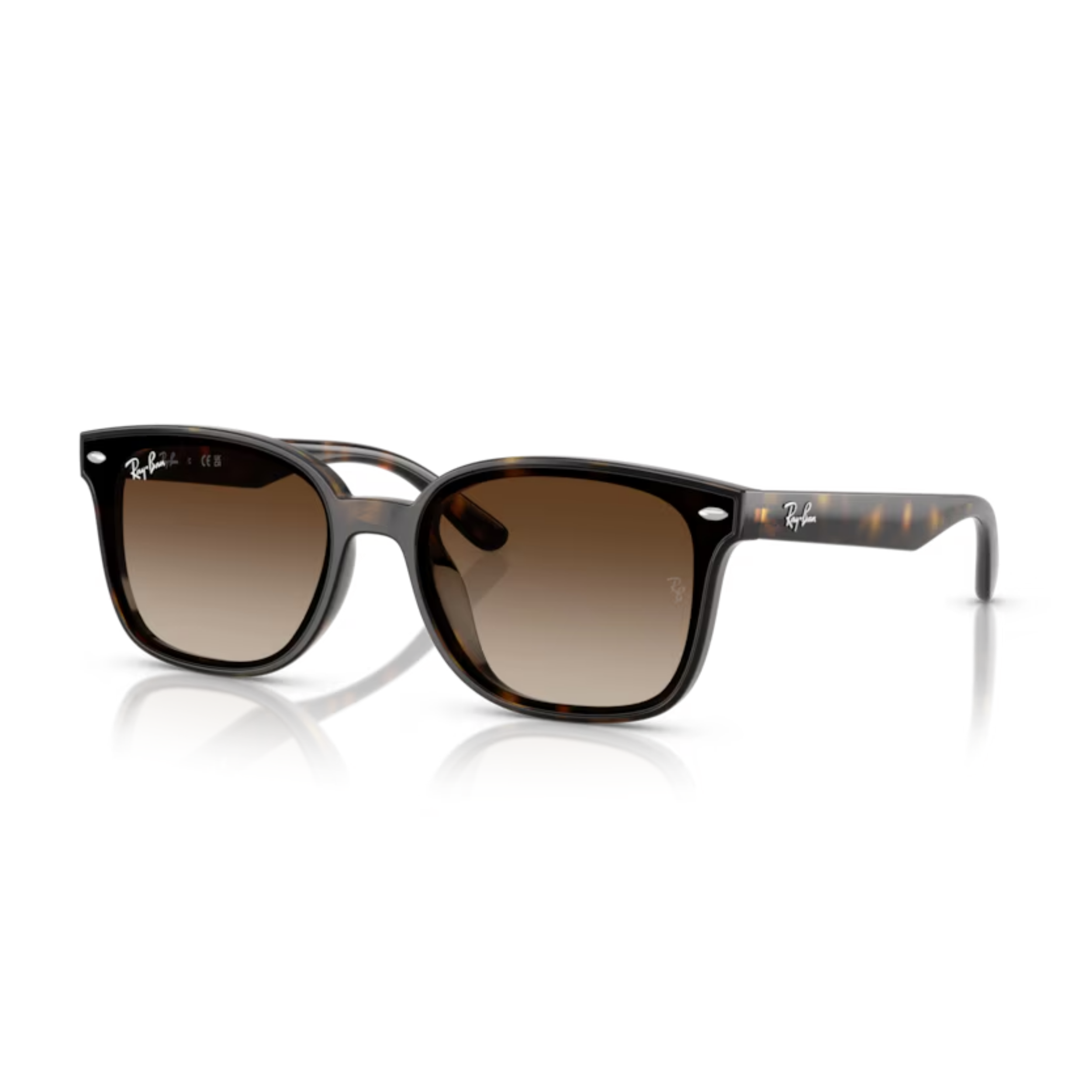 RAY-BANUnisex Güneş GözlüğüRAY-BAN 4461D 710/13 64-17-145 G