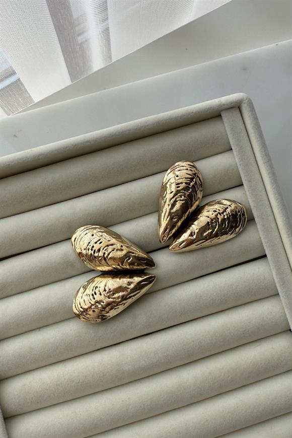 Marka Model Kalp Midye Küpe