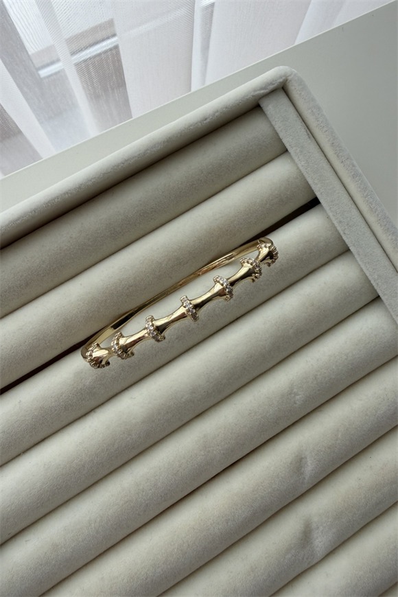 Xupıng Kemik Kelepçe