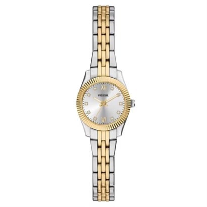 Fossil FES5473 Kadın Kol Saati