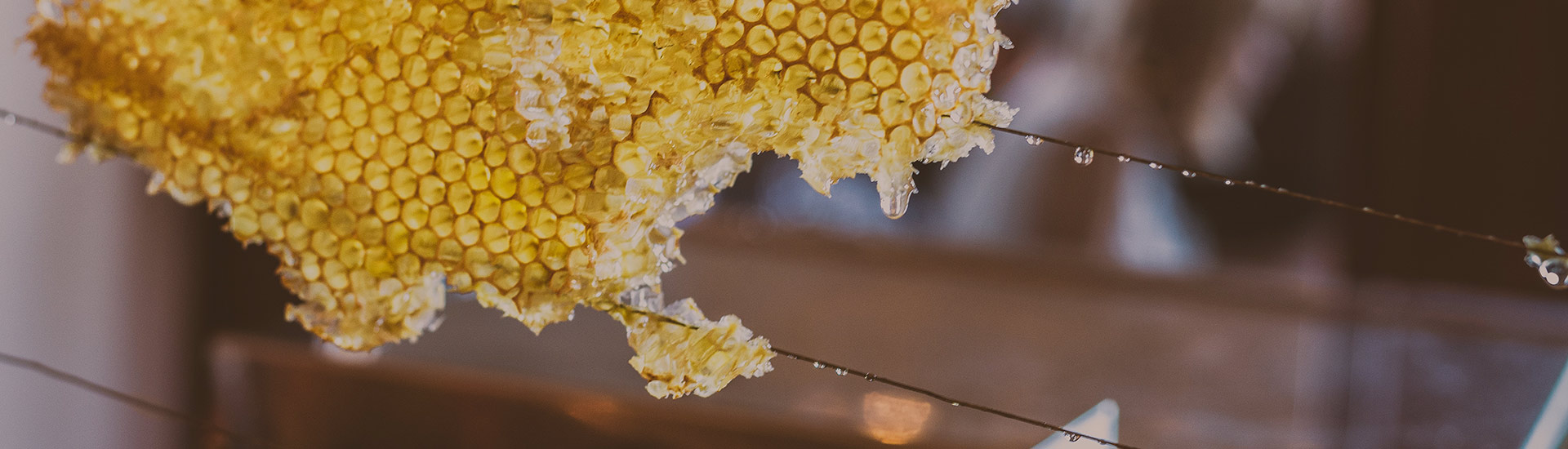 هل أقراص العسل من شمع العسل طبيعية؟