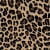 Leopar