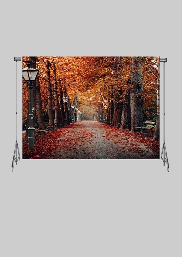 KATLANIR KIRIŞMAZ KUMAŞ - 2 EN 1.5 MT BOY - Sonbahar Yolu -  FABRIC BACKDROP - Stüdyo Fonu