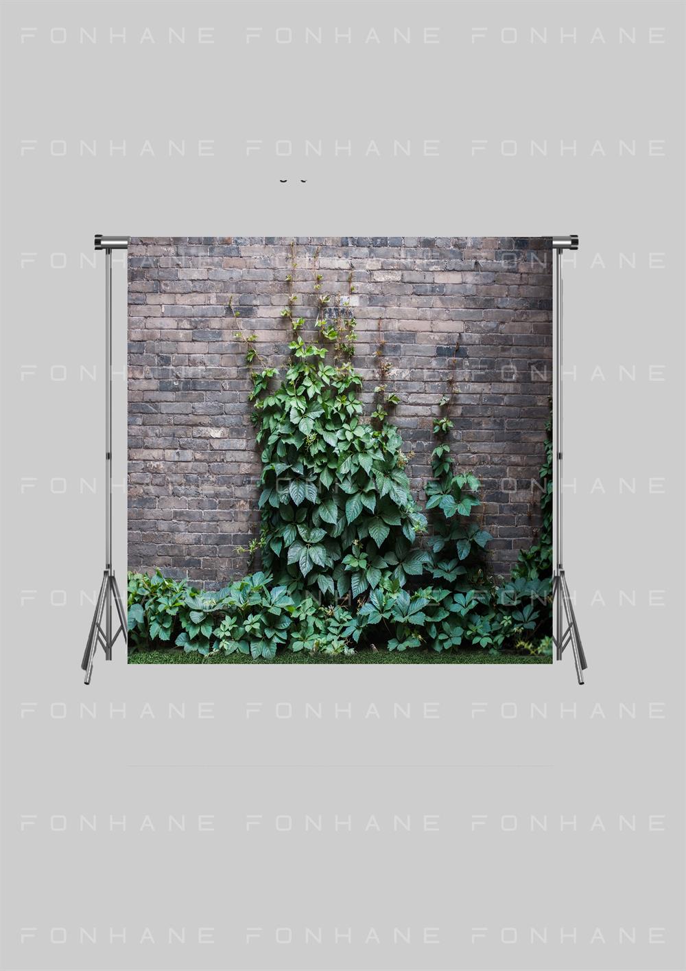 Taş Duvar Üzerinde Otlar Zeminsiz Yetişkin Kumaş Fotoğraf Fonu( 3X2,5 MT)
