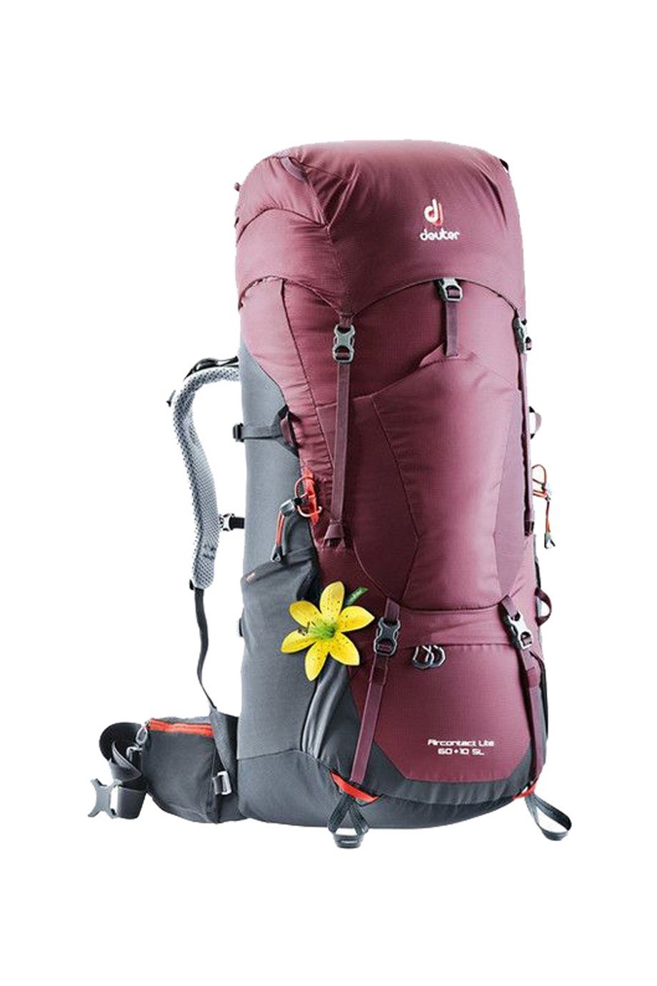 DEUTER Aircontact Lite 60 + 10 SL Kadın Sırt Çantası maron-graphite