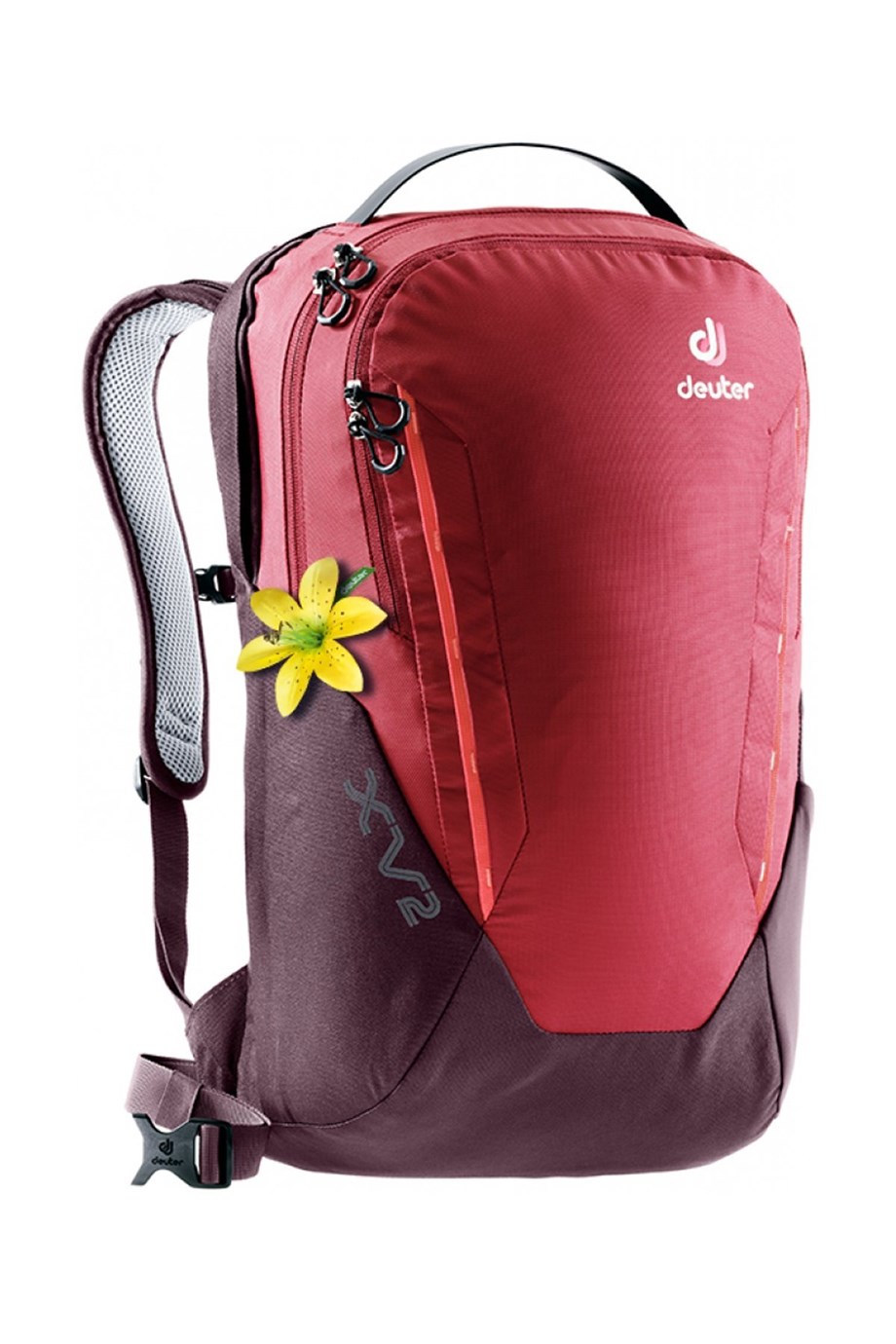 DEUTER XV 2 SL Kadın Bilgisayar Sırt Çantası Cranberry-Aubergine
