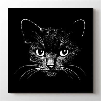 Siyah Kedi / Hayvanlar Alemi Kanvas Tablo