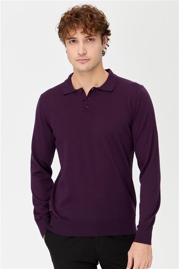 Мужской базовый трикотажный свитер с воротником-поло темно фиолетовый