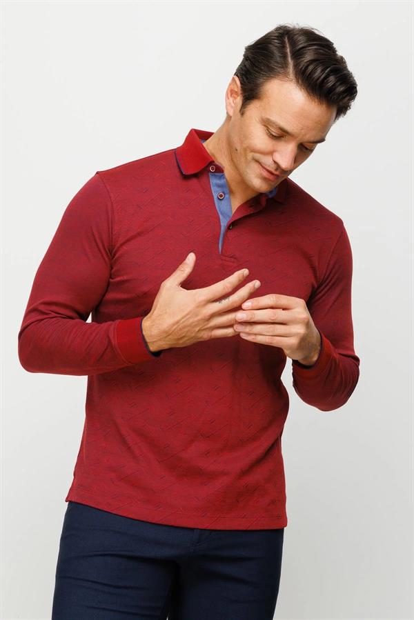 Мужская толстовка с длинным рукавом и воротником-поло с рисунком