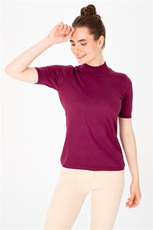 Женская блузка с высоким воротником из лайкры цвет сливы