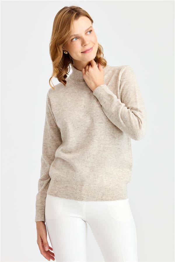 Женская классическая блузка с полуводолазкой