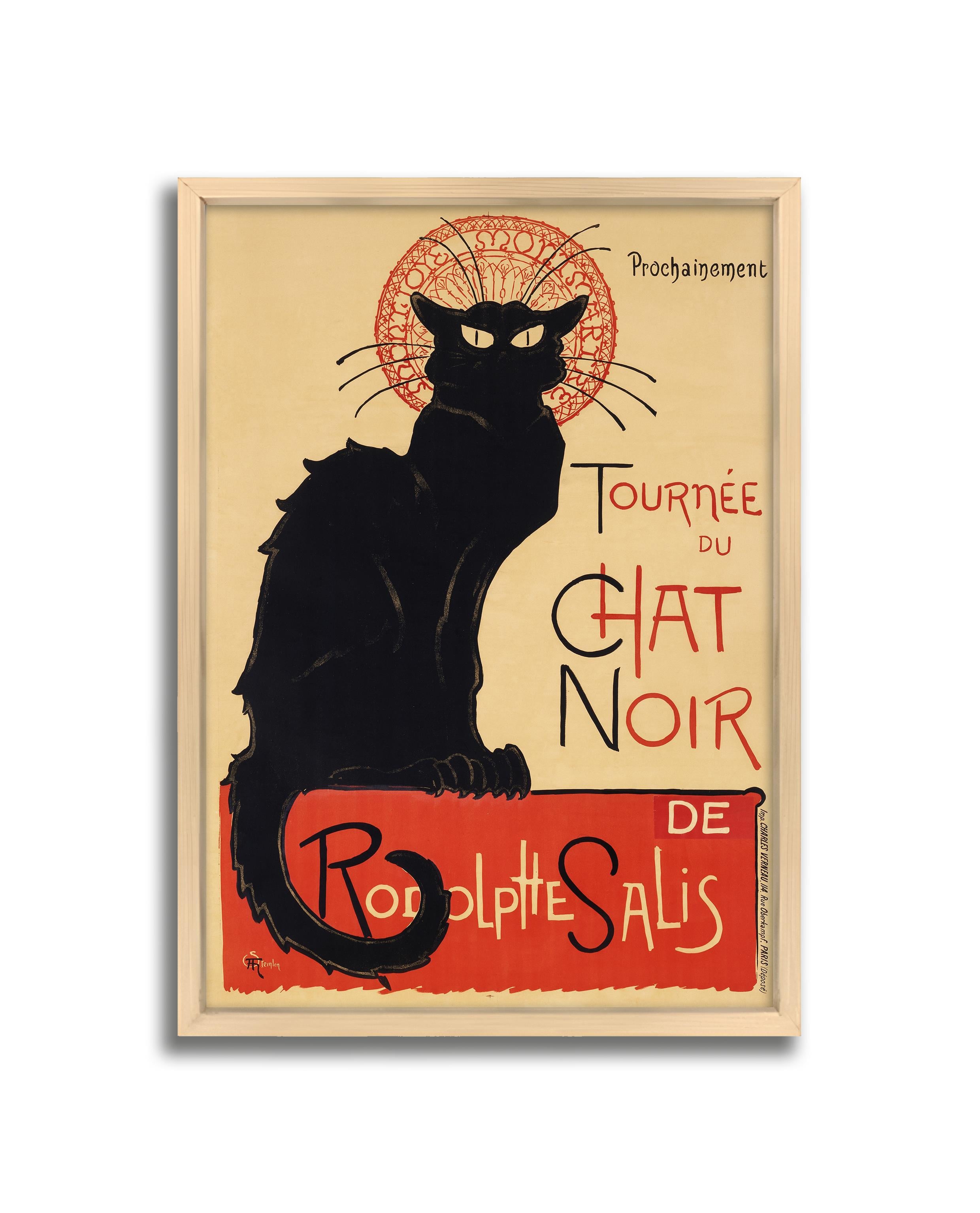 Cat Noir Çerçeveli Tablo