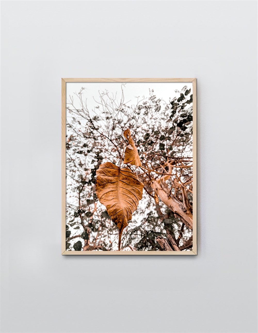 Kastra Serisi Çerçeveli Poster 022