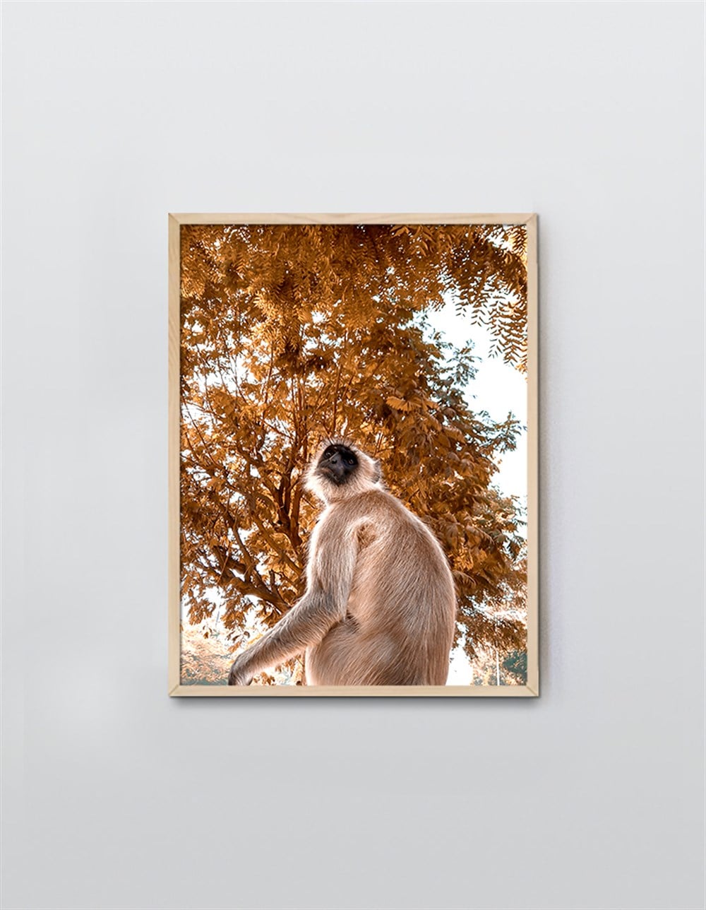Kastra Serisi Çerçeveli Poster 023