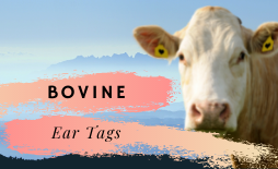 Bovine Ear Tags