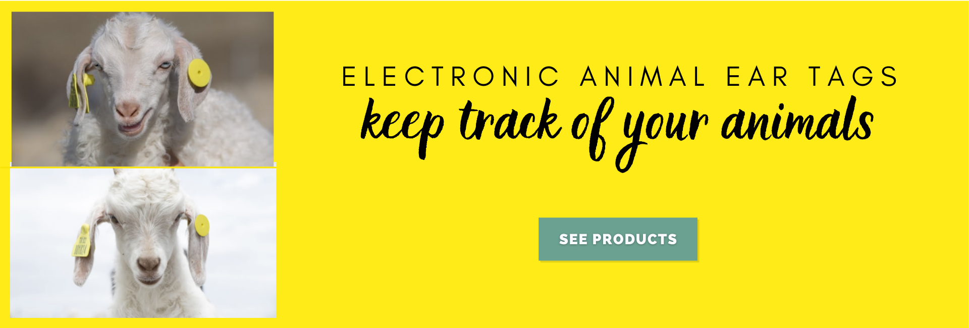 Electronic Animal Ear Tags