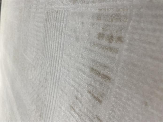 OLYMPİA SF227 CREAM VİZON (DETAYLI)