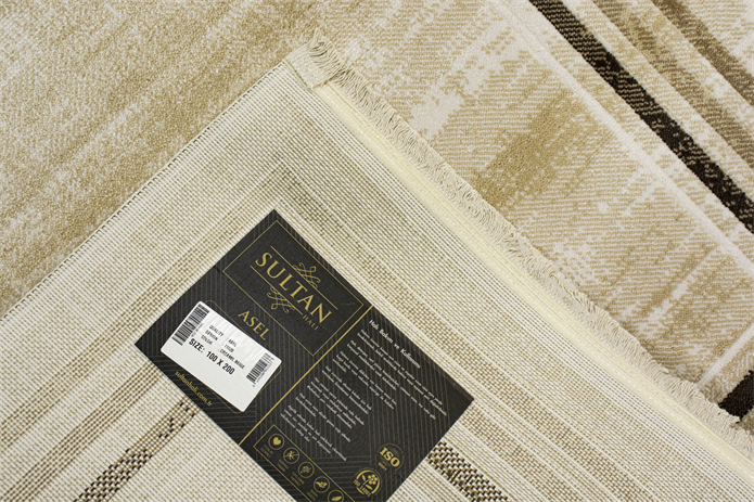 Sultan Asel Bordürlü Krem Modern Akrilik Makine Dokuma Salon Halısı - 11520