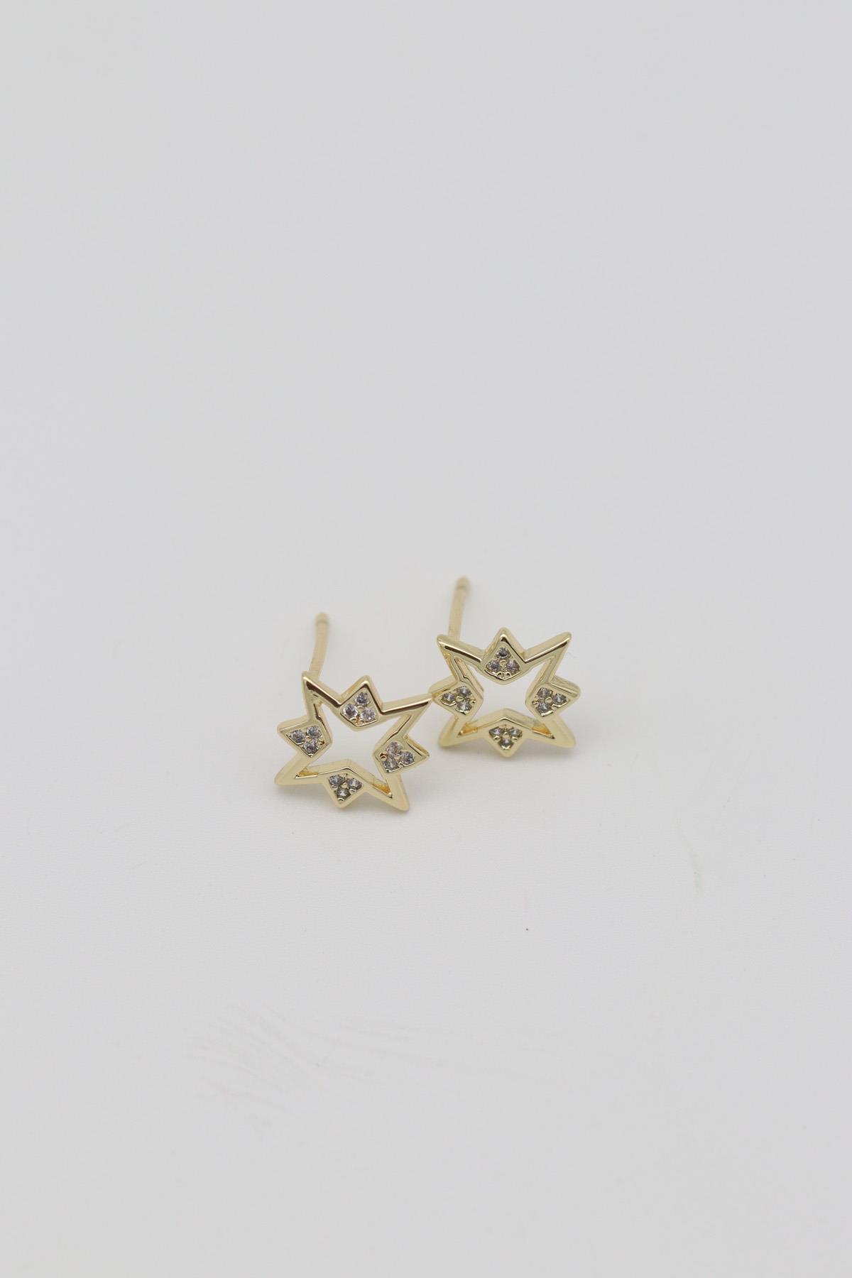 Vıp Küpe 14 K-12690 (12mm)