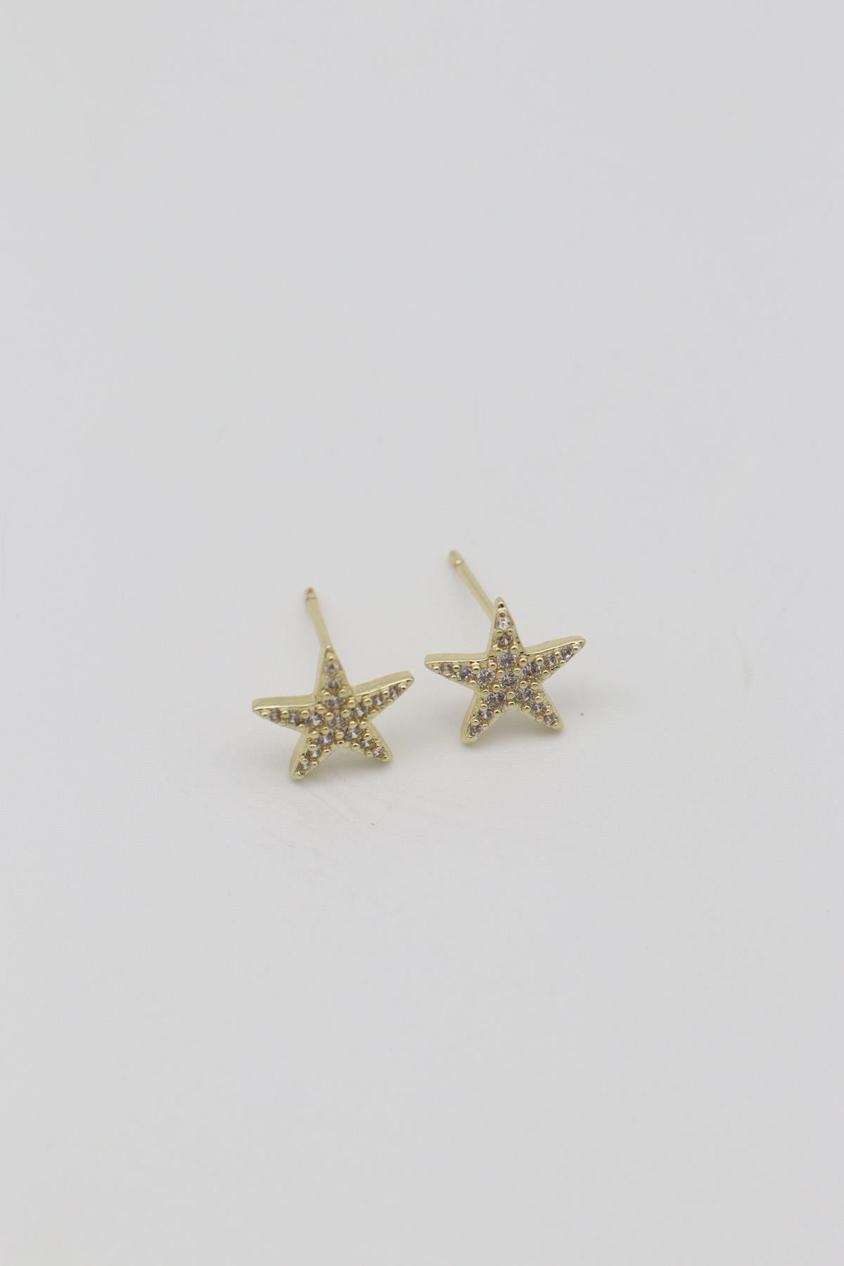 Vıp Küpe 14 K-12692 (10mm)