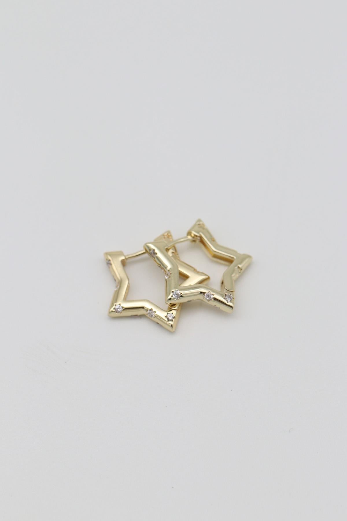 Vıp Küpe 14 K-12713 (20mm)