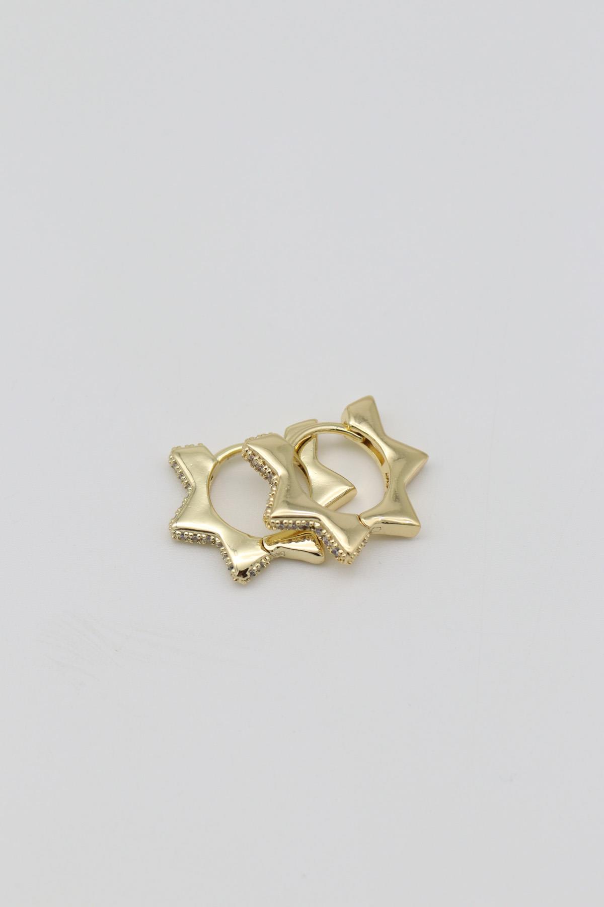 Vıp Küpe 14 K-12715 (15mm)