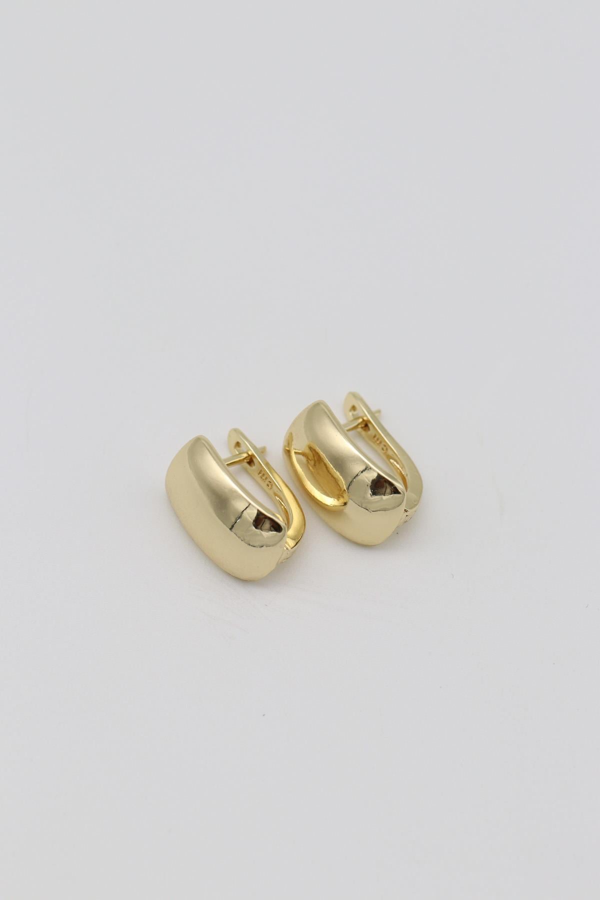 Vıp Küpe 14 K-12722 (15mm)