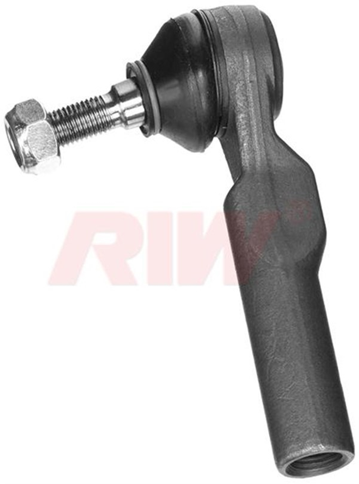ALBEAROT BAŞI MAREA 96 DOBLO-ALBEA MTJ 00 DOBLO 06 RIW FI2019RIWRIW FI2019