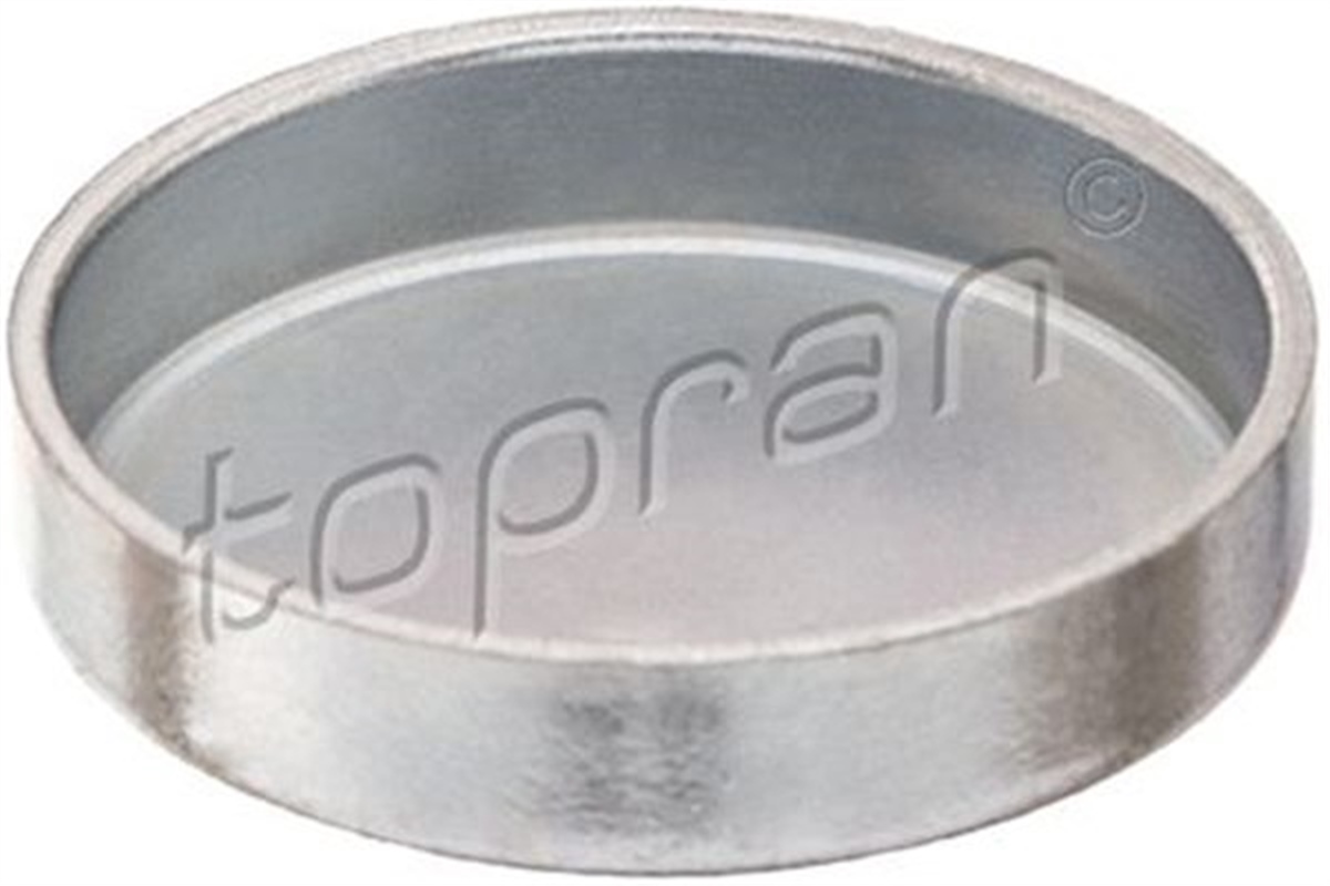 ASTRABlok Su Tapası 22 Mm Astra G-H- Vectra B-C Tüm Araçlar Topran 203183756TOPRANTOPRAN 203183756