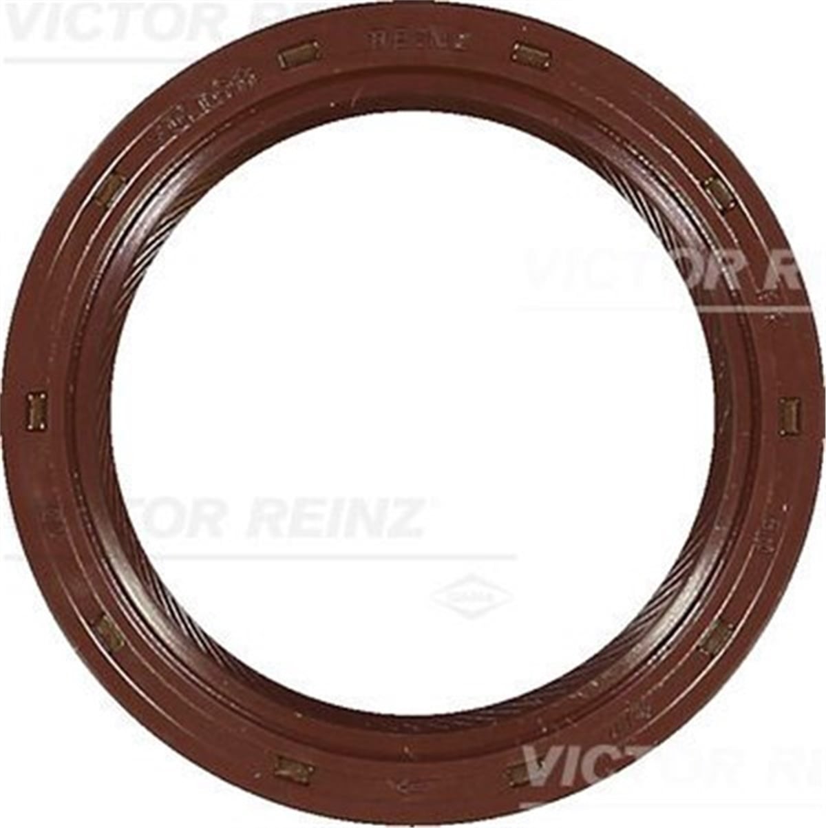 ASTRAEKSANTRİK MİL KEÇESİ ASTRA G-H-J-COMBO-CORSA C-D-MERIVA-ZAFIRA 1.7 DTI Y 17 DT 38X50X8-5.55 V.REINZ 812823600V.REINZV.REINZ 812823600