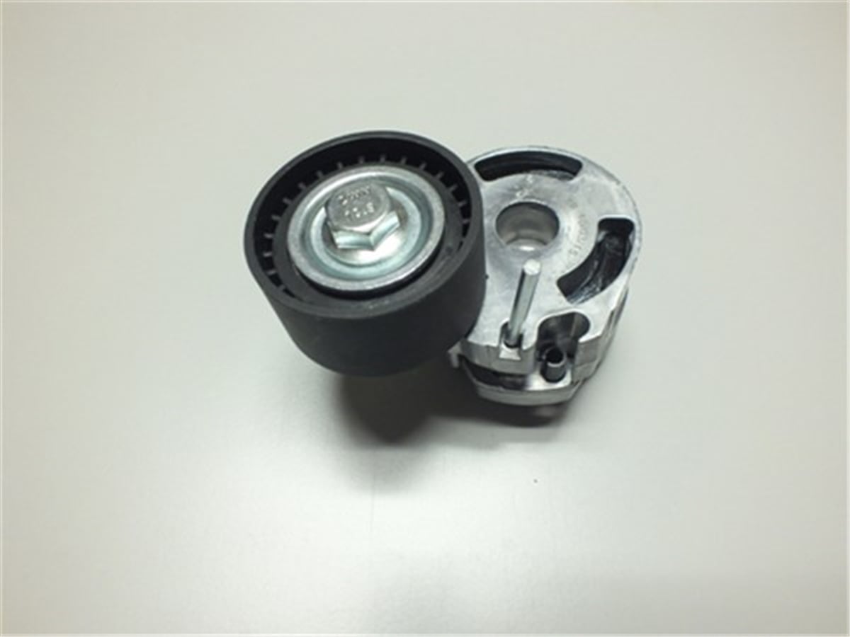 BERLINGOALTERNATÖR GERGİ RULMANI KÜTÜKLÜ P206 1.4HDI-407-PARTNER 1.6 HDI-C3 1.6 16V-C5 1.6HDI-BERLINGO 1.6 WPI P575189WPIWPI P575189