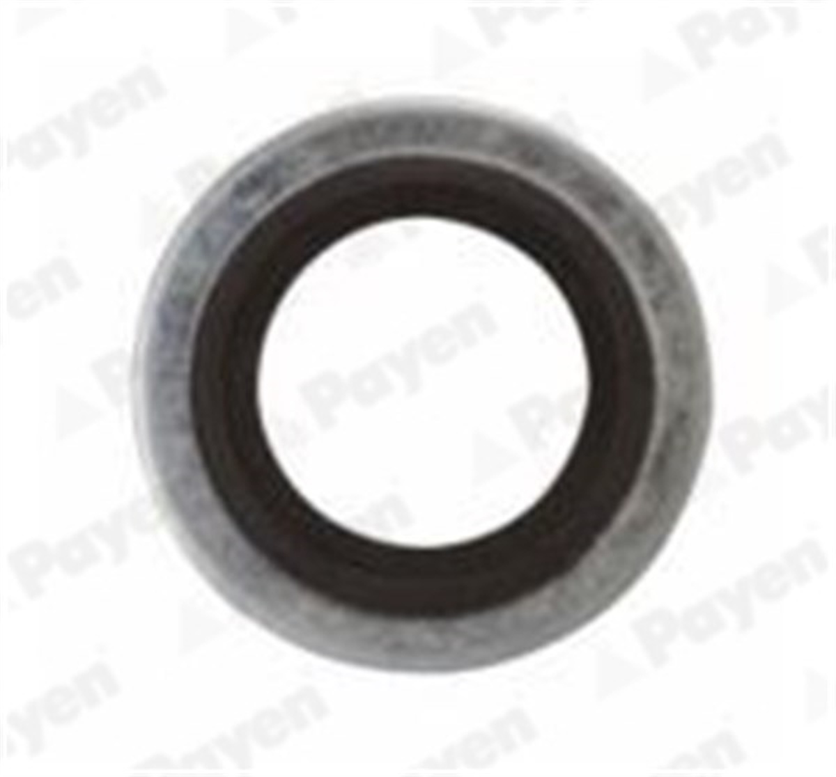 CLIOYAĞ BOŞALTMA TAPA CONTASI CLIO I-R21-MASTER I-PEUGEOT 106-P206-P306-P407-C2-C3-C4-C5-SAXO-XSARA-ZX PAYEN PB852PAYENPAYEN PB852