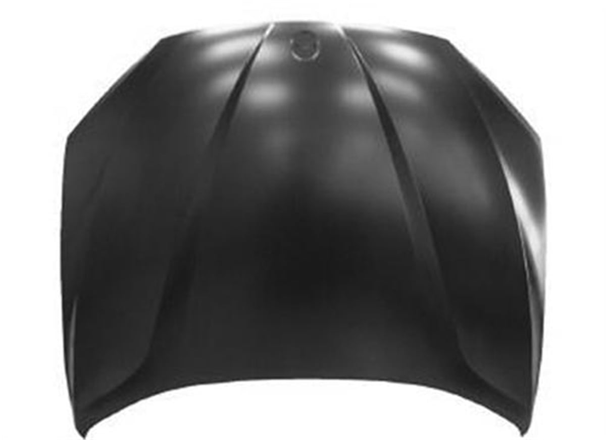 E84BMW X1 E84 MOTOR KAPUTU 09- 41002993151DE-GABMW08X1003