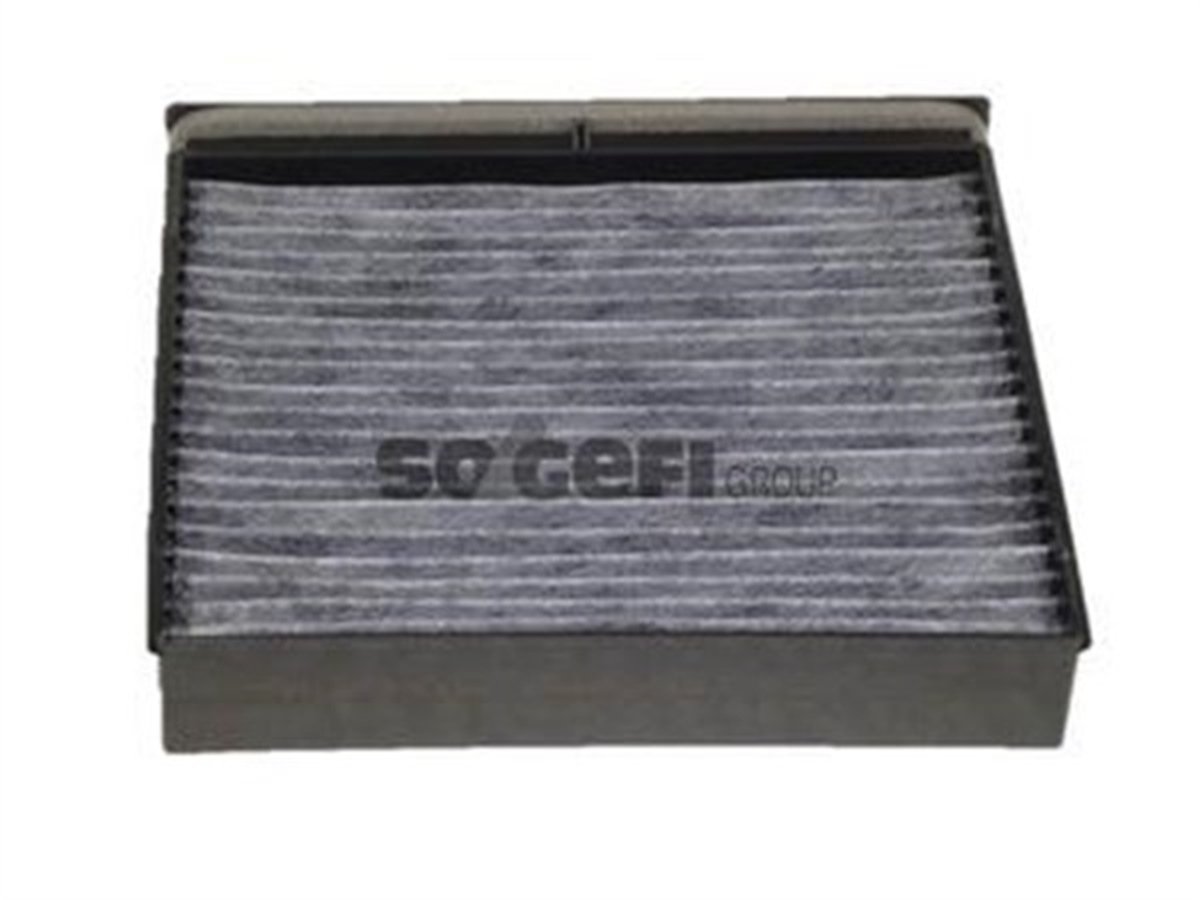 SCENICPOLEN FİLTRESİ SCENIC II 03 KARBONLU PURFLUX AHC234PURFLUXPURFLUX AHC234