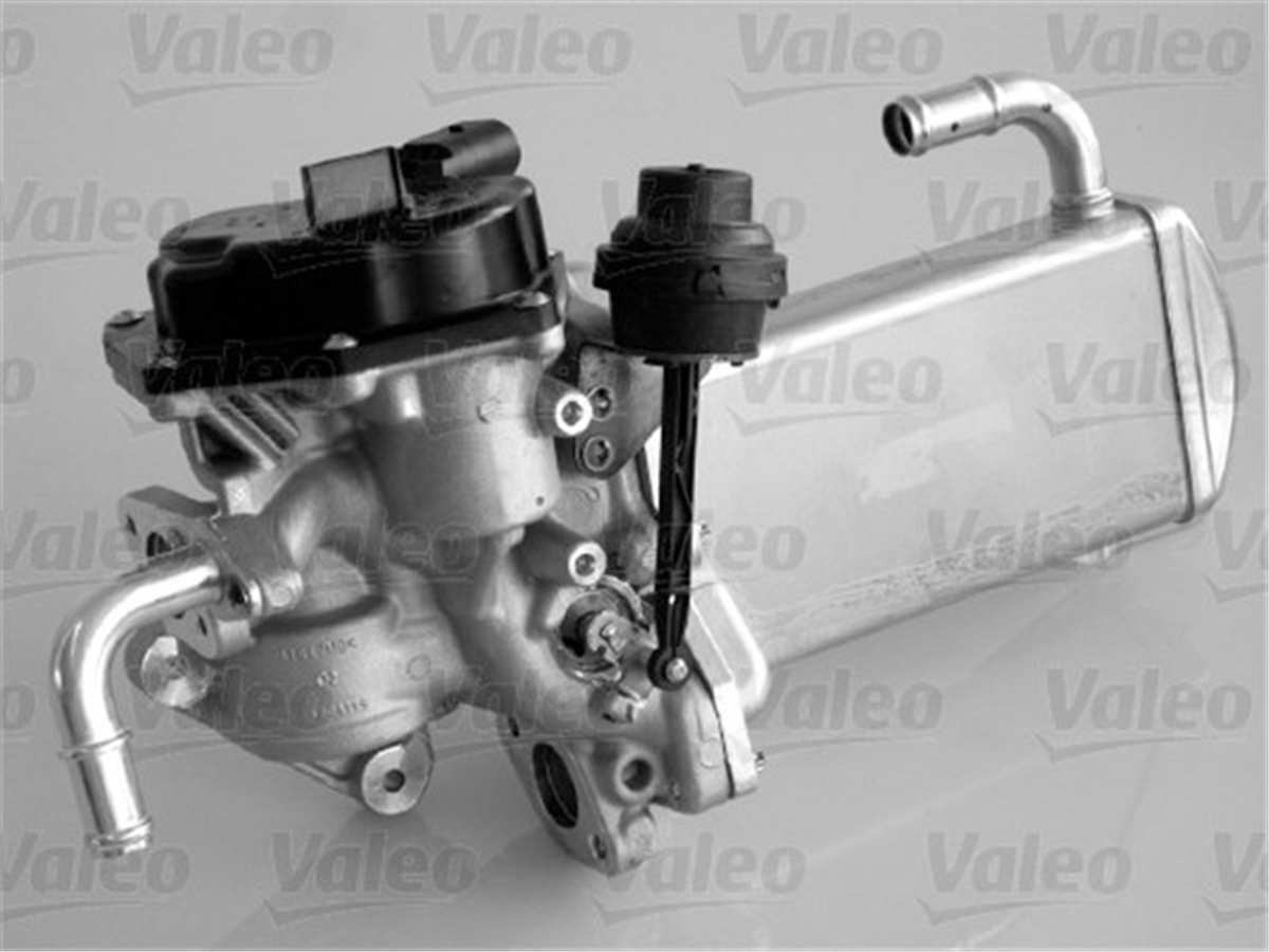 VOLKSWAGENEGR SOĞUTUCUSU VALFİ VW T5-T6 2.0 TDİ VALEO 700435VALEOVALEO 700435
