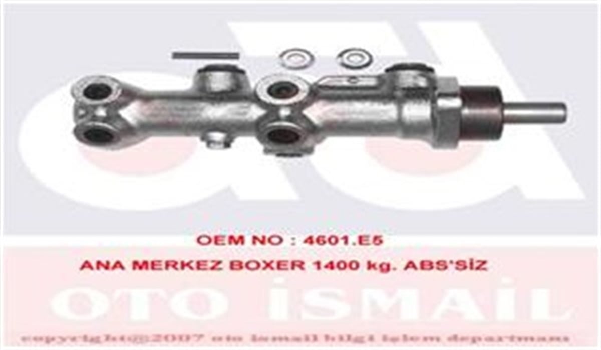 YEDEK PARÇAANA MERKEZ JUMPER-DUCATO-BOXER 94-02 1.9-2.0-2.5-2.8 20.64MM RIW MC6304RIWRIW MC6304
