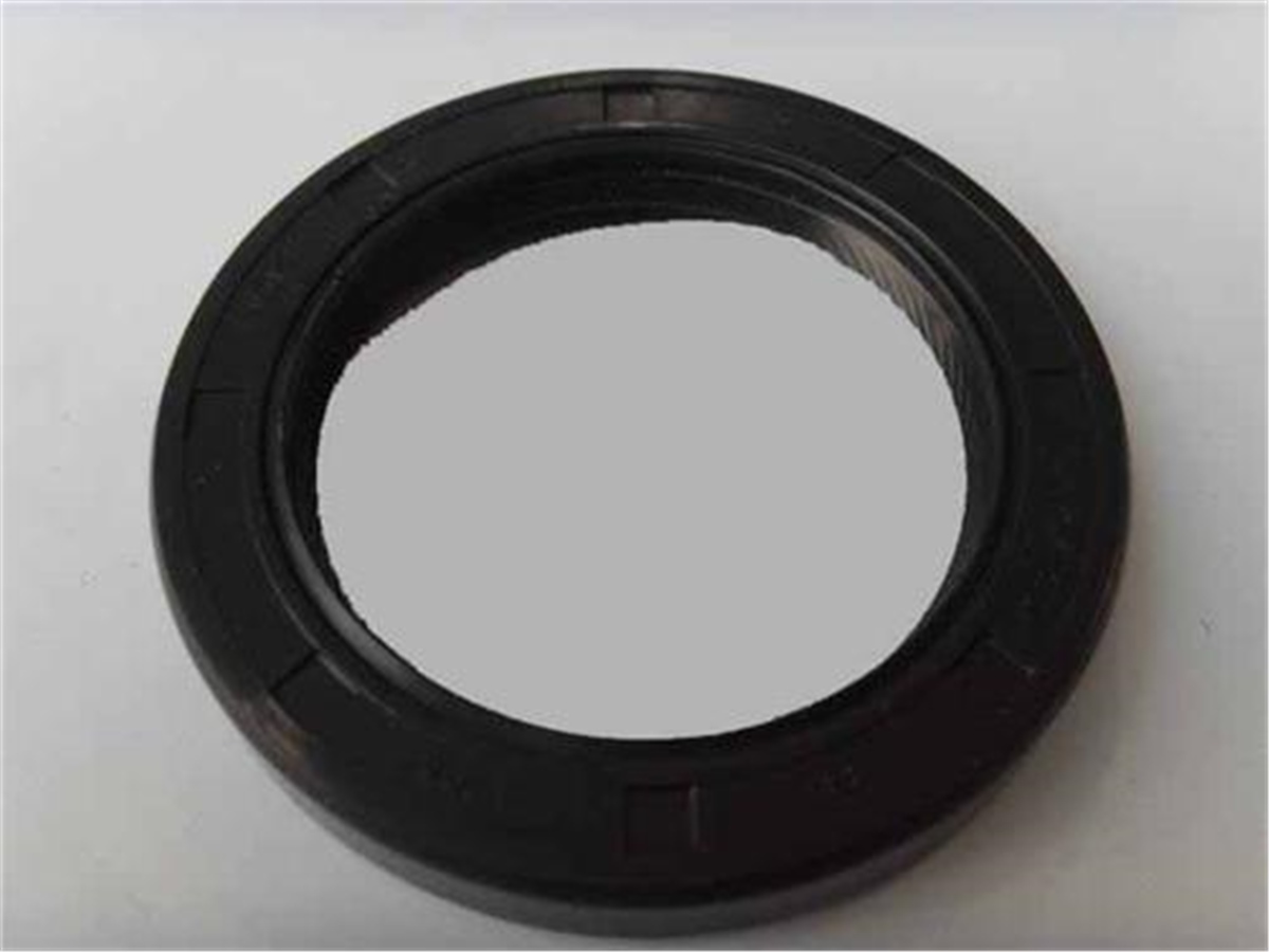 YEDEK PARÇAEKSANTRİK KEÇESİ ARKA R11/FLASHSKTSKT-40699S