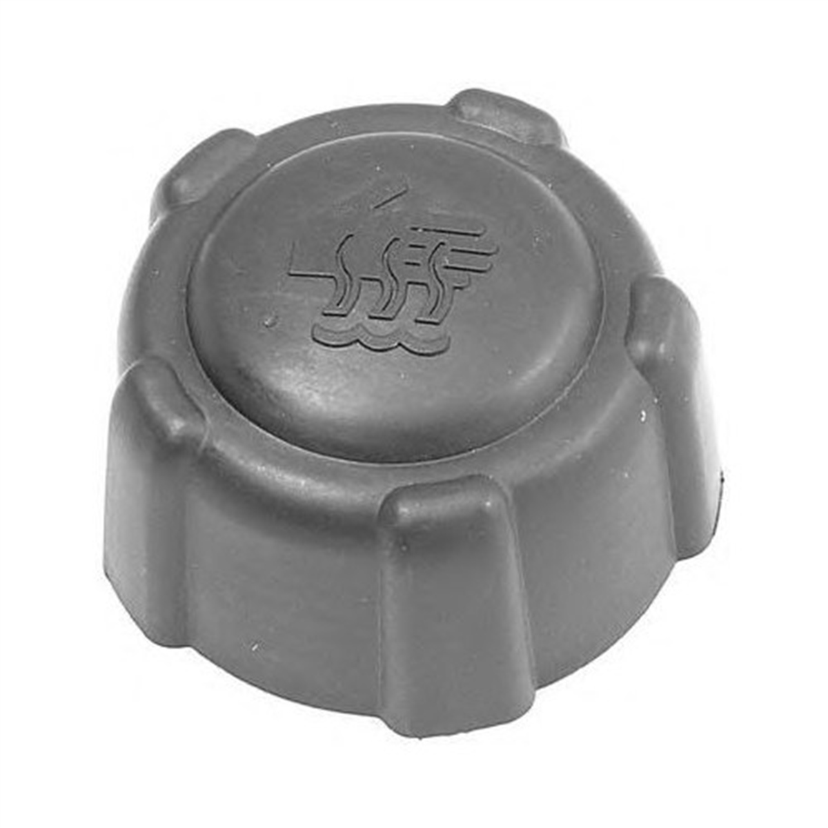 YEDEK PARÇARADYATÖR YEDEK SU DEPO KAPAĞI PALİO/SİENA/ALBEABİRLİKBRL-0032-500