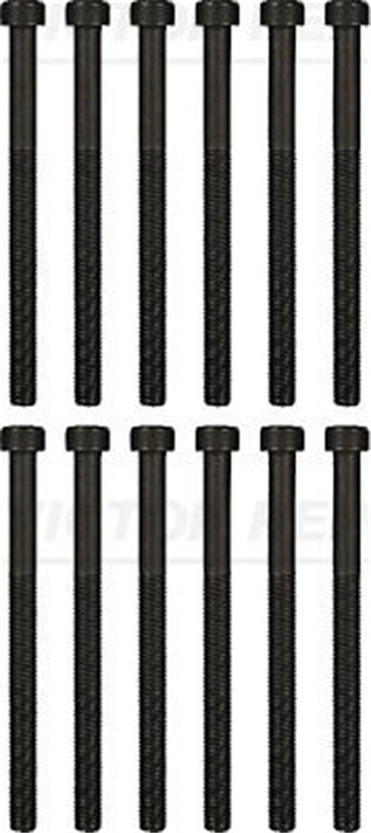 YEDEK PARÇASİLİNDİR KAPAK SAPLAMASI TOUREG 03-10 MULTIVAN V-T5 V.REINZ 143219001V.REINZV.REINZ 143219001