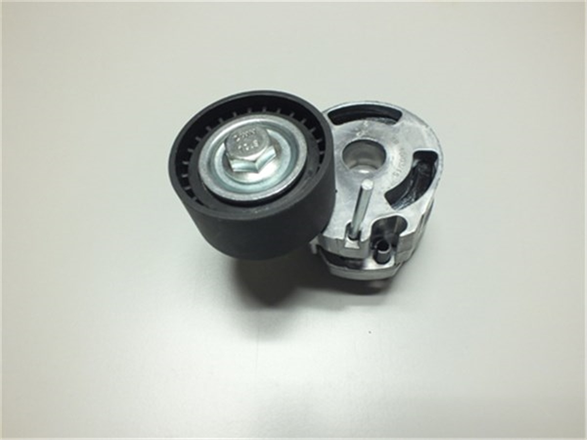 BERLINGOALTERNATÖR GERGİ RULMANI KÜTÜKLÜ P206 1.4HDI-407-PARTNER 1.6 HDI-C3 1.6 16V-C5 1.6HDI-BERLINGO 1.6 WPI P575189WPIWPI P575189