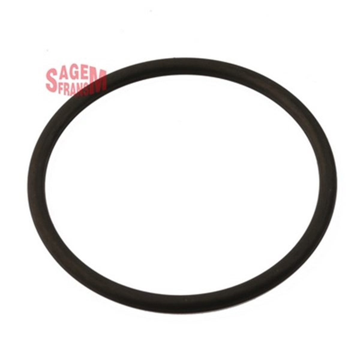 CLIOKELEBEK BOĞAZ ORING CLIO - MEGANE - LAGUNA İNCE SAGEM 210101SAGEMSAGEM 210101