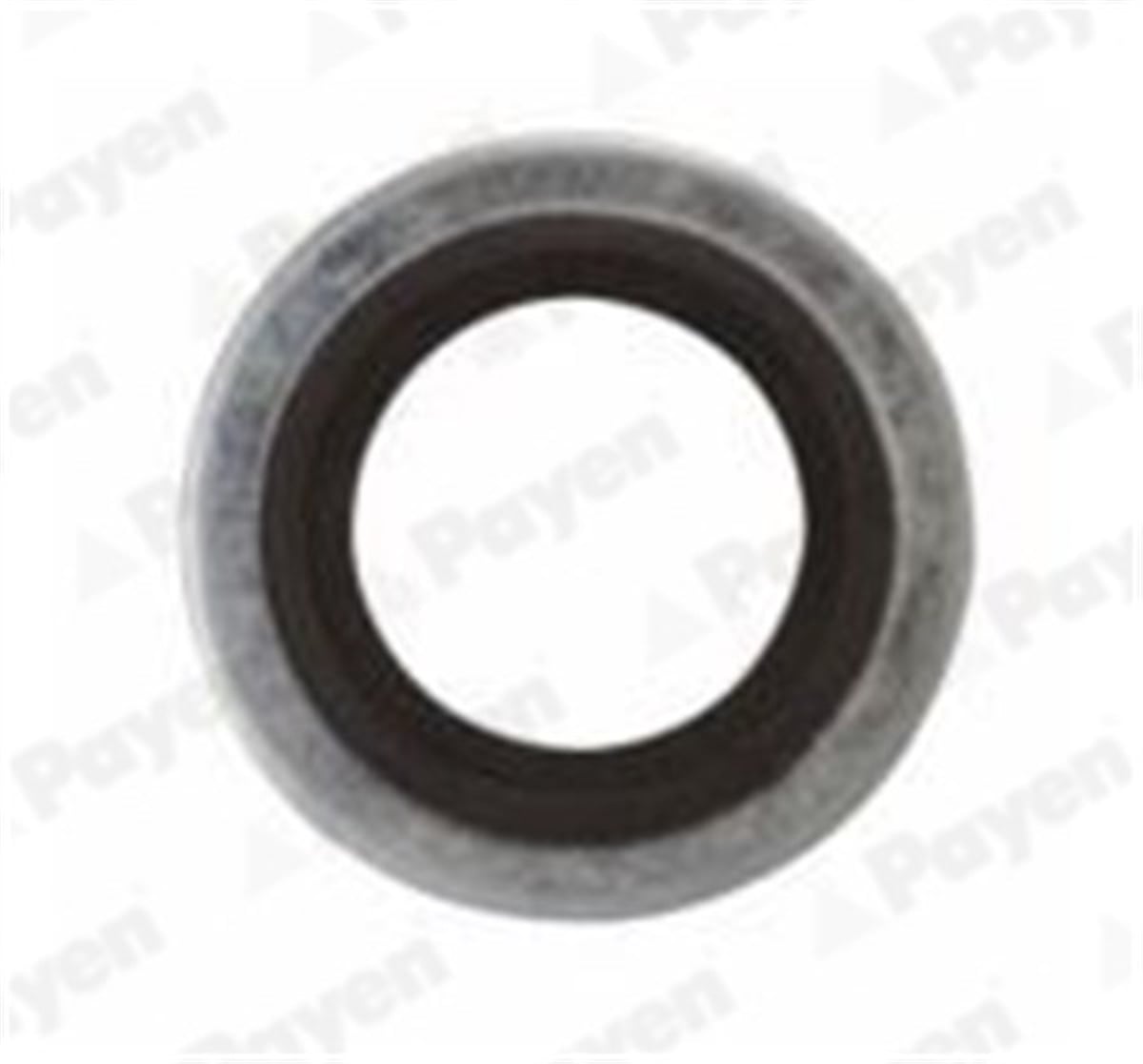 CLIOYAĞ BOŞALTMA TAPA CONTASI CLIO I-R21-MASTER I-PEUGEOT 106-P206-P306-P407-C2-C3-C4-C5-SAXO-XSARA-ZX PAYEN PB852PAYENPAYEN PB852